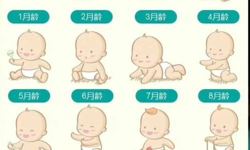 小儿化谈止咳颗粒-贵州小儿化痰止咳颗粒说明书专区_贵州科辉小儿化痰止咳颗粒专区_贵州小儿化痰止咳颗粒网