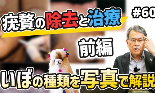 小儿止咳化痰颗粒的功效与作用-贵州小儿化痰止咳颗粒说明书专区_贵州科辉小儿化痰止咳颗粒专区_贵州小儿化痰止咳颗粒网